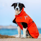 1343f08ffb66b8254df4b9ca3ac38aed